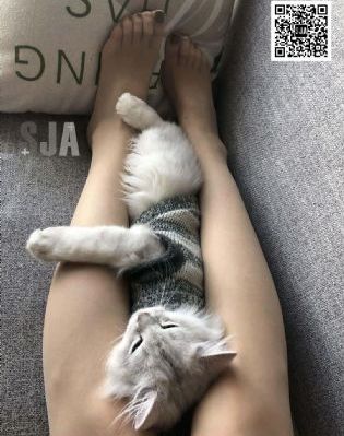 国产精品91久久久久久久久久久_HDBD在线观看